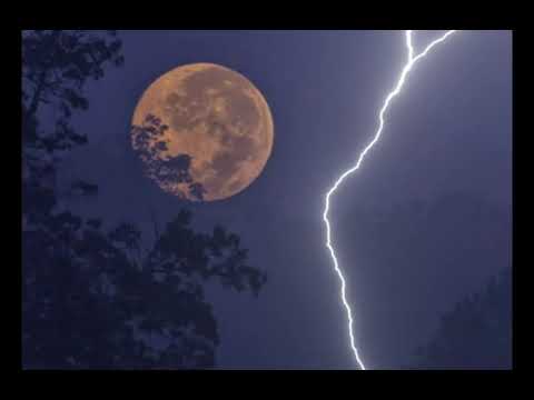 The Wolf by SIAMES +The Wolf cover by Cg5, Cami-Cat, and FamilyJules