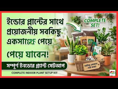 ইন্ডোর প্ল্যান্টের সাথে প্রয়োজনীয় সবকিছু একসাথে পেয়ে যাবেন 🌿🏡 | Complete Indoor Plant Setup