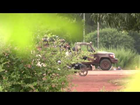 Heavy gunfire heard