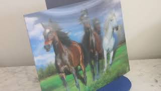 PLAINS HORSES - 3D Stereo Lenticular Posters from POCOLOCO ISLAND