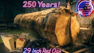 Sawing a 29 Inch Diameter Red Oak! My Wood Products Vs Conventional Materials, 4th of July Style!