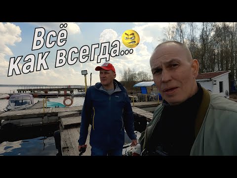 Вс как всегда. Рыба козл