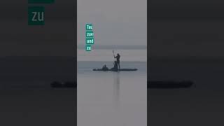 🐋🌊 Wal-Rettung vor Poel: Schafft Timmy den Weg in die Freiheit? #hope #timmy #ostsee #news #shorts