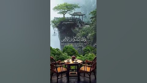 ما تيسر من القرآن الكريم من سورة نوح تلاوة خاشعة و مؤثرة #القرآن_الكريم #quran #اكسبلور #راحة_نفسية