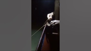 câu cá lăng ban đêm