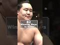 The Art of Sumo