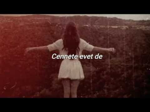 Lana Del Rey - Yes To Heaven (Türkçe Çeviri)