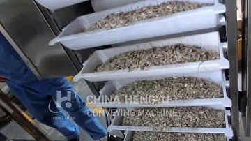 Z Bucket Elevator,bucket type elevator z bucket elevator,chain z type bucket elevator machine