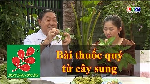 BÀI THUỐC QUÝ TỪ CÂY SUNG - Lương Y Nguyễn Công Đức
