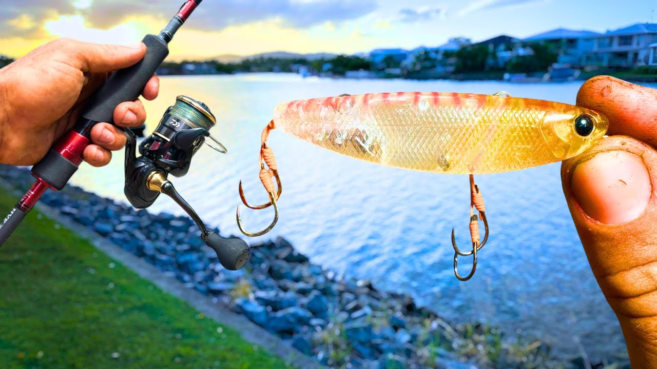 Are These The PERFECT LURES For GOLD COAST Canal Fishing?