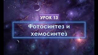 Урок 13. Фотосинтез и хемосинтез с примерами заданий