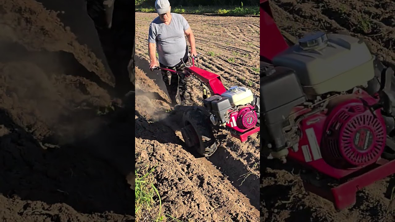 Для работы на земле нужен мотоблок МТЗ 