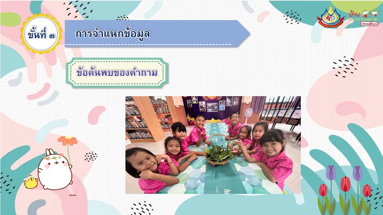 ความลับของใบไม้