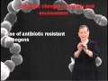 Lucy Shapiro: Why antibiotics don&#39;t kill viruses