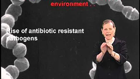 Lucy Shapiro: Why antibiotics don't kill viruses - DayDayNews