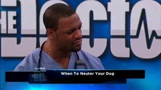 Courtney Campbell - Veterinarian -  -  Best time to Spay or Neuter @DrCourtneyDVM