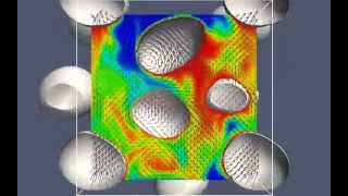 Mass transfer in bubbly flows using a Front Tracking model