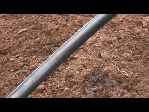 Video: Kasvuhoonete vesi – teave kasvuhoonete kastmissüsteemide kohta