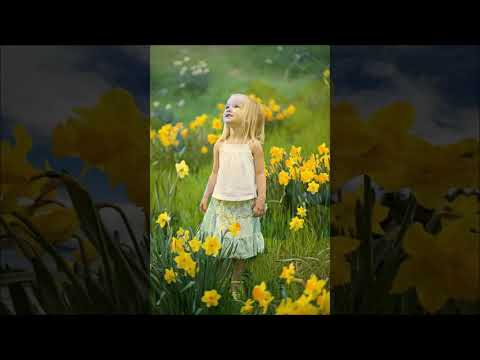 Royal Daffodil - Gordon Langford - Stuttgart Studio Orchestra/Ralph Elman - CBL 024