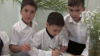 Ролик Ролик