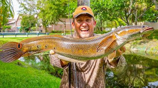 Fishing Urban Canals for Epic Eating Fish {Catch Clean Cook} super INVASIVE