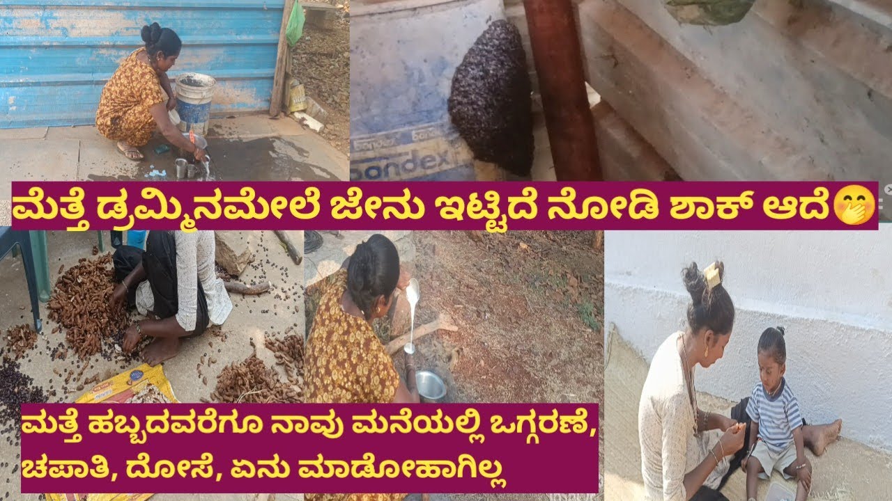 ಮತ್ತೆ ಡ್ರಮ್ಮಿನಮೇಲೆ ಜೇನು ಇಟ್ಟಿದೆ ಸಡನ್ನಾಗಿ ನೋಡಿ ಶಾಕ್ ಆದೆ //ಹಬ್ಬದವರೆಗೂ ಮನೆಯಲ್ಲಿ ತವ ಇಡೋಹಾಗಿಲ್ಲ...