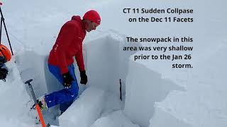 Sudden Collpase Compression Test in the Ophir Creek Drainage