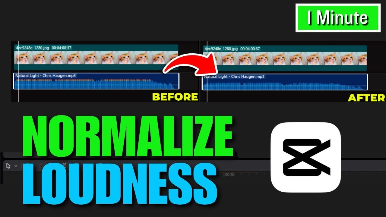 How to normalize audio in Capcut PC | Full Guide - YouTube