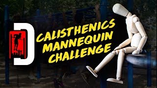 Dallas Mannequin Challenge