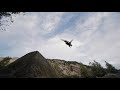South Island MTB Perfection | Emil Johansson in New Zealand 4K
