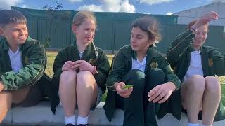 Virtual assembly 2024 Term 2 Week 10