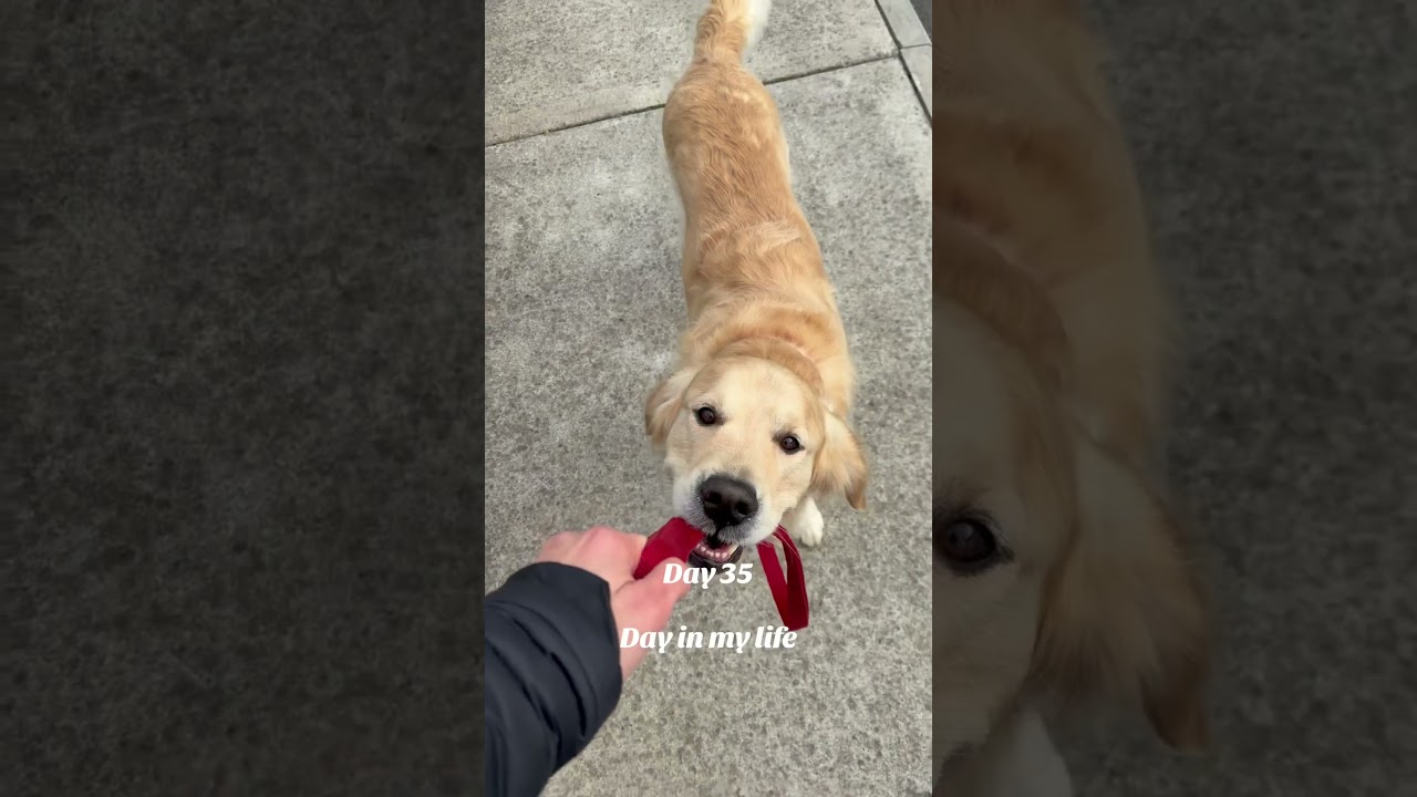 Subscribe and follow our 180 days of vlogs 