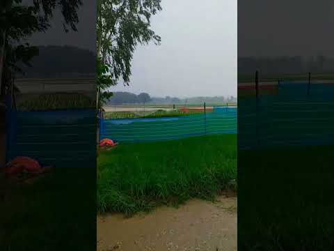 barish ke maaze lo 🤟