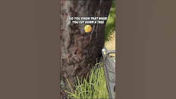 🔥HOW TO CUT ALL THE BRANCHES IN ONE SECOND🌲#fs25 #farming #farmingsimulator25