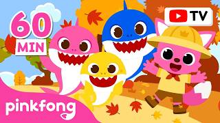baby shark more more best fall kids songs compilation pinkfong