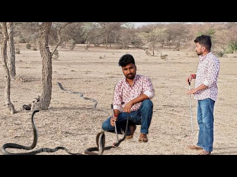 डॉक्टर को काटने के बाद रेस्क्यू करके किया रिलीज 