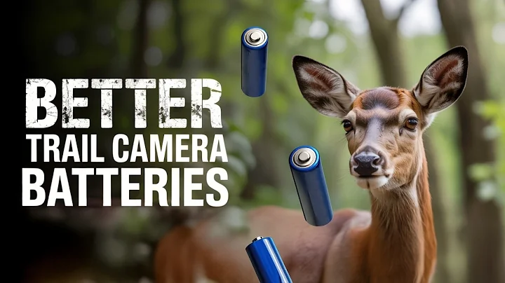 Why I Stopped Buying Regular AA Batteries for My Trail Cameras!