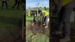 Students help build tree canopy through Portland Parks’ Learning Landscapes program