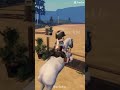lost it all. | #dariaeq #horse #equestrian #confidence #edit #fyp #lcs #roblox