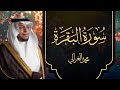 سورة البقرة تلاوة هادئة بصوت القارئ محمد الغزالي 