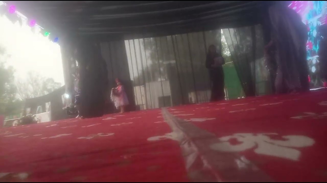 Rishikul school annual function 