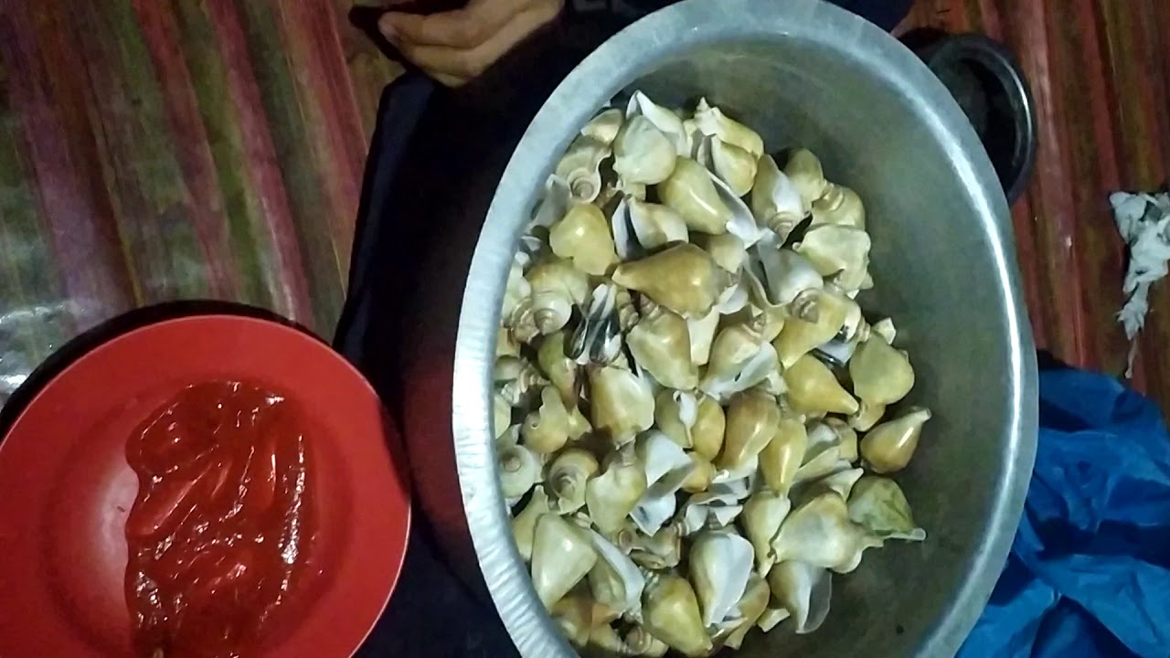 Radak gong gong rifai vs hamdi ckkkkkkk - YouTube