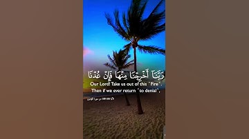 #تلاوة_خاشعة #القرآن_الكريم #المصحف #راحة_نفسية #اكسبلور #دويتو #duet #لايك