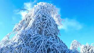 Eguberri on Denontzako mendian eguraldi zoragarria  eta izotza