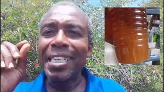 Jamaica's Crystalize honey