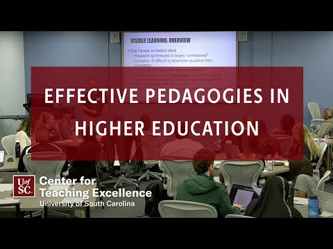 Effective Pedagogies in Higher Education