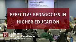Effective Pedagogies in Higher Education