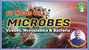 BOTANY 4U | RTMNU B. SC. SEM-I BOTANY-I UNIT-I | PITAMBAR HUMANE | MCQs on Microbes