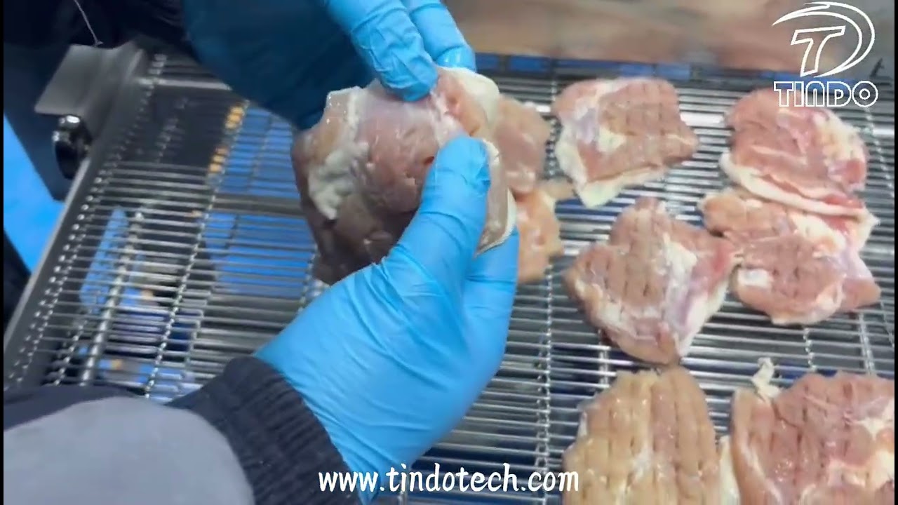 Tindo Industrial Meat Tenderizer for food processing factory