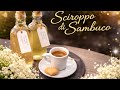 Orecchino per bimbi 🥰 andiamo al cinema,Ricetta sciroppo di sambuco 😋